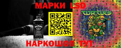 дмт Краснознаменск