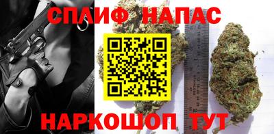 дмт Краснознаменск
