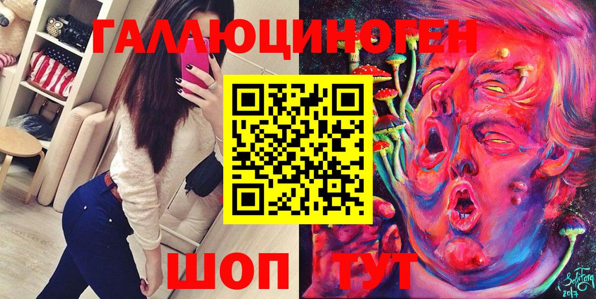 Касимов  Псилоцибиновые грибы Psilocybe  Вход с VPN 